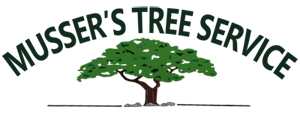 24 hr Emergency Response | Musser's Tree Service